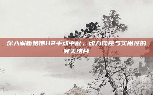 深入解析哈佛H2手动中配,动力操控与实用性的完美结合