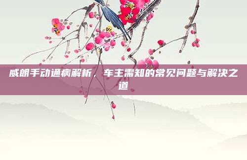威朗手动通病解析,车主需知的常见问题与解决之道
