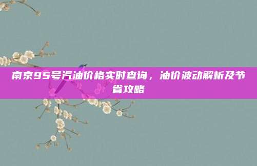 南京95号汽油价格实时查询,油价波动解析及节省攻略
