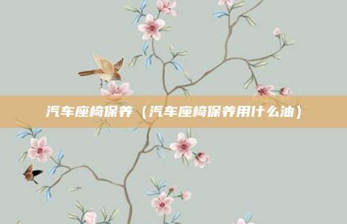 汽车座椅保养（汽车座椅保养用什么油）