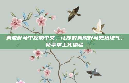 美规野马中控刷中文,让你的美规野马更接地气,畅享本土化体验