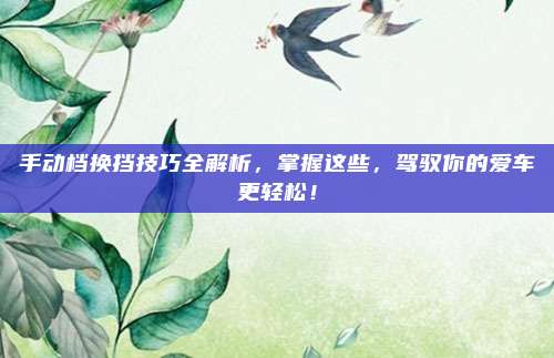 手动档换挡技巧全解析,掌握这些,驾驭你的爱车更轻松!