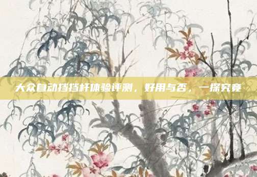 大众自动挡挡杆体验评测,好用与否,一探究竟