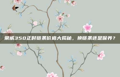 荣威350正时链条价格大揭秘,换链条还是保养?
