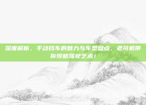 深度解析,手动挡车的魅力与车型盘点,老司机带你领略驾驶艺术!