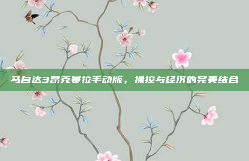 马自达3昂克赛拉手动版,操控与经济的完美结合