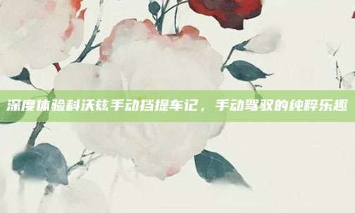 深度体验科沃兹手动挡提车记,手动驾驭的纯粹乐趣