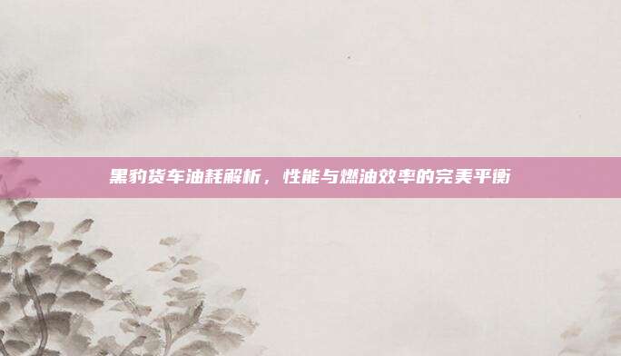 黑豹货车油耗解析，性能与燃油效率的完美平衡