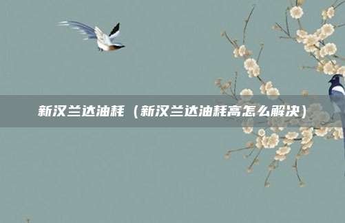 新汉兰达油耗（新汉兰达油耗高怎么解决）