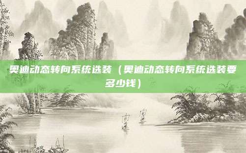 奥迪动态转向系统选装（奥迪动态转向系统选装要多少钱）