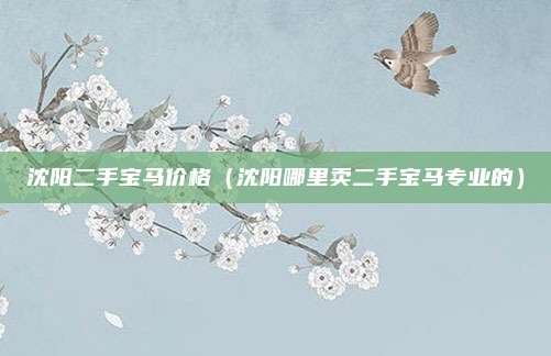 沈阳二手宝马价格（沈阳哪里卖二手宝马专业的）