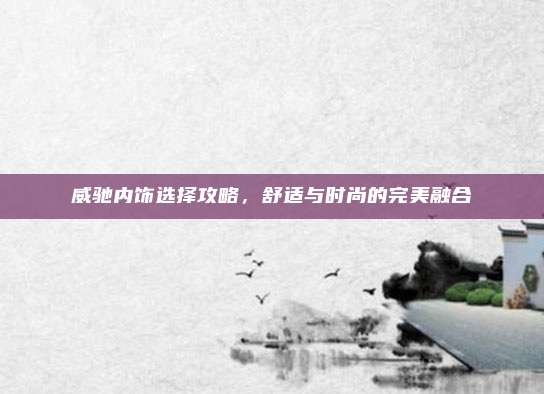威驰内饰选择攻略,舒适与时尚的完美融合