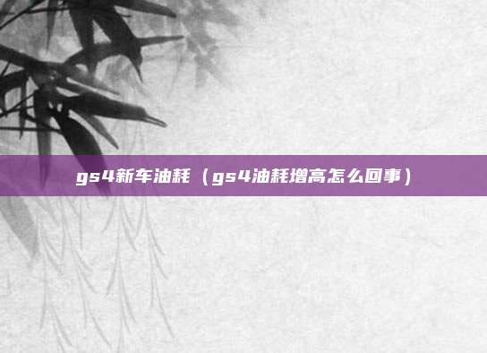 gs4新车油耗（gs4油耗增高怎么回事）