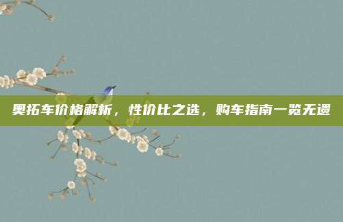 奥拓车价格解析,性价比之选,购车指南一览无遗