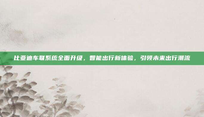 比亚迪车联系统全面升级,智能出行新体验,引领未来出行潮流