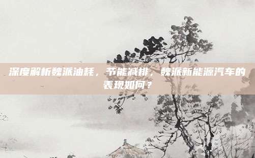 深度解析魏派油耗,节能减排,魏派新能源汽车的表现如何?