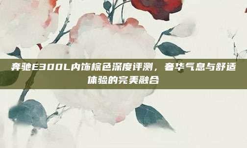 奔驰E300L内饰棕色深度评测,奢华气息与舒适体验的完美融合