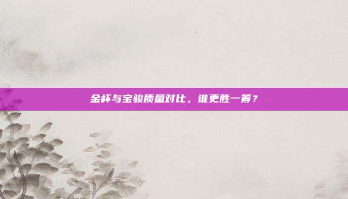 金杯与宝骏质量对比,谁更胜一筹?
