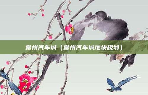 常州汽车城（常州汽车城地块规划）
