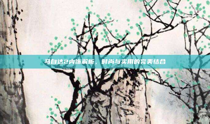 马自达2内饰解析,时尚与实用的完美结合