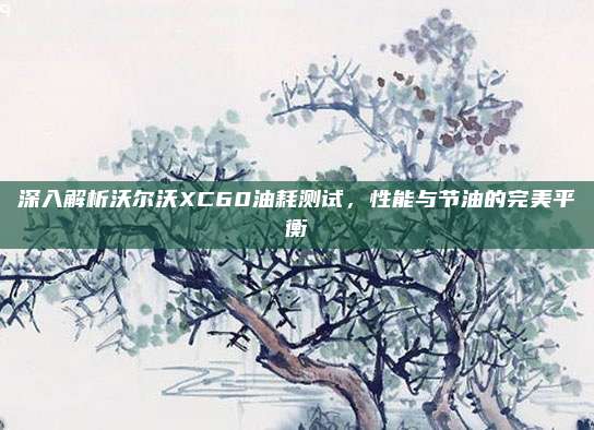 深入解析沃尔沃XC60油耗测试,性能与节油的完美平衡