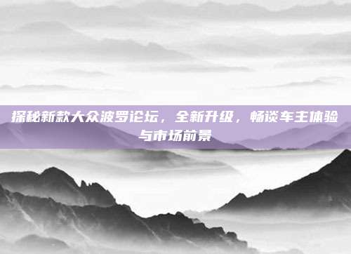 探秘新款大众波罗论坛,全新升级,畅谈车主体验与市场前景