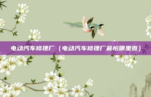 电动汽车修理厂（电动汽车修理厂最怕哪里查）