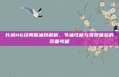 长城H6经典版油耗解析,节油性能与驾驶体验的双重考量