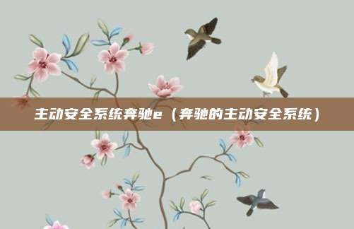 主动安全系统奔驰e（奔驰的主动安全系统）
