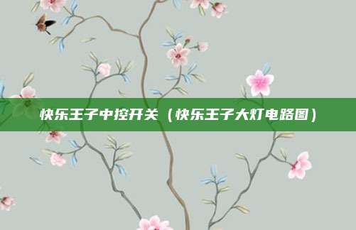 快乐王子中控开关（快乐王子大灯电路图）