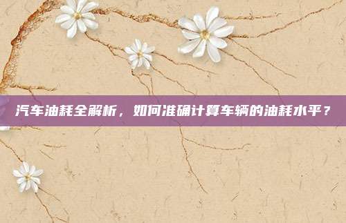 汽车油耗全解析,如何准确计算车辆的油耗水平?