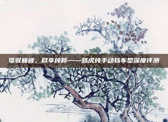 驾驭巅峰,尽享纯粹——路虎纯手动挡车型深度评测