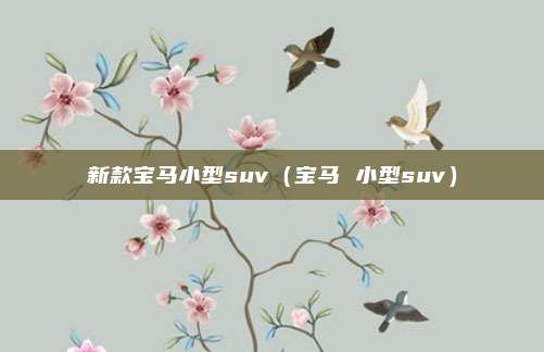 新款宝马小型suv（宝马 小型suv）