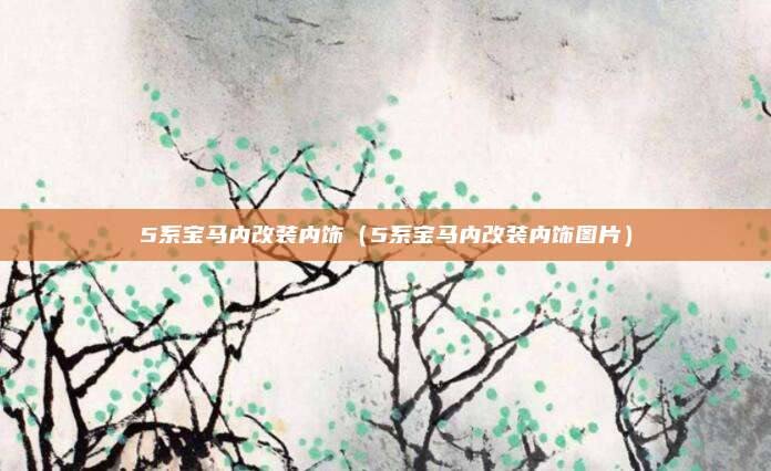5系宝马内改装内饰（5系宝马内改装内饰图片）