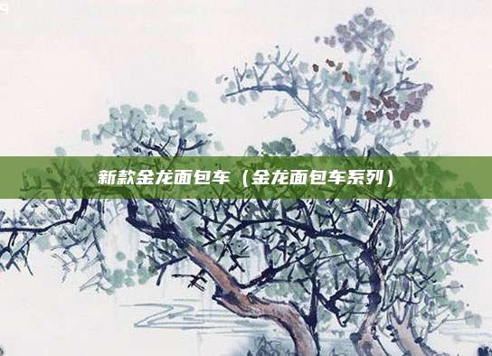 新款金龙面包车（金龙面包车系列）
