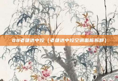 08老捷达中控（老捷达中控空调面板拆卸）