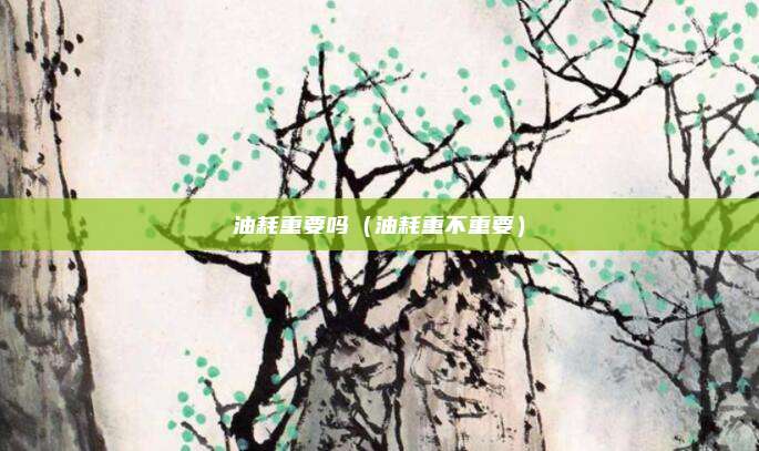 油耗重要吗（油耗重不重要）