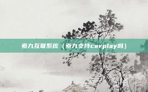 索九互联系统（索九支持carplay吗）