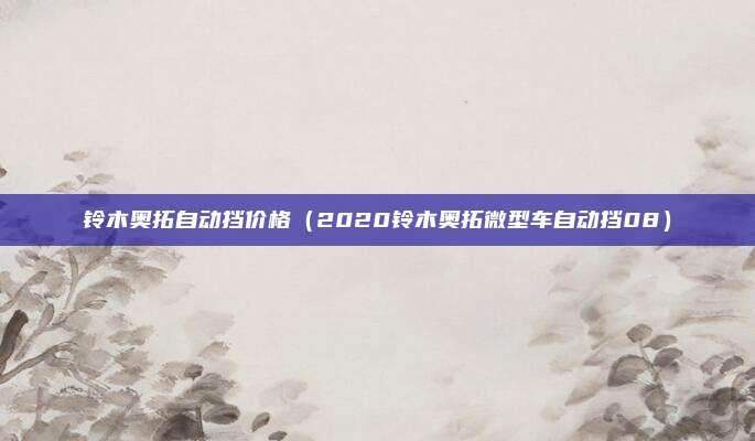 铃木奥拓自动挡价格（2020铃木奥拓微型车自动挡08）