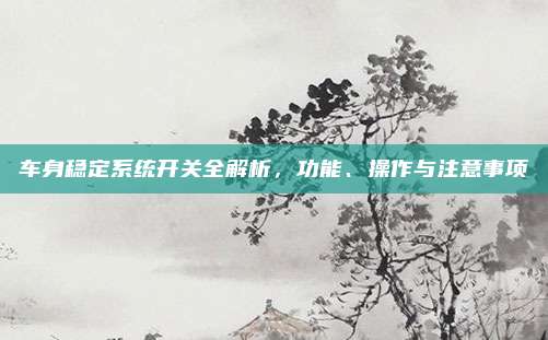 车身稳定系统开关全解析,功能、操作与注意事项