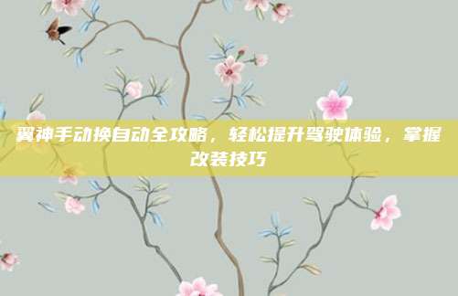 翼神手动换自动全攻略,轻松提升驾驶体验,掌握改装技巧