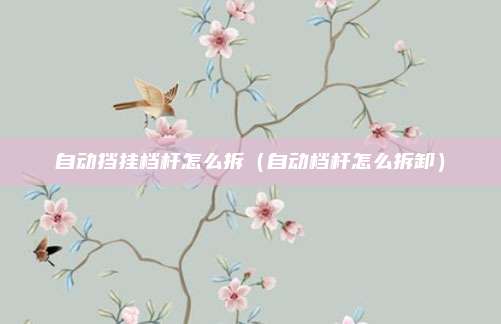 自动挡挂档杆怎么拆（自动档杆怎么拆卸）