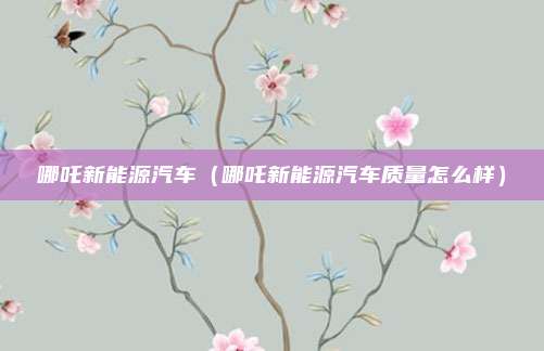 哪吒新能源汽车（哪吒新能源汽车质量怎么样）