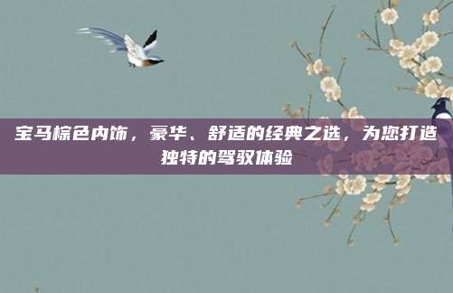 宝马棕色内饰,豪华、舒适的经典之选,为您打造独特的驾驭体验