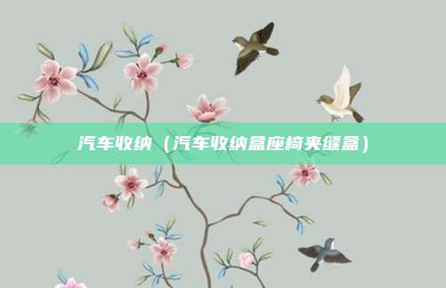 汽车收纳（汽车收纳盒座椅夹缝盒）