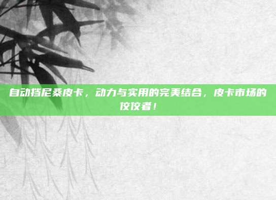自动挡尼桑皮卡,动力与实用的完美结合,皮卡市场的佼佼者!