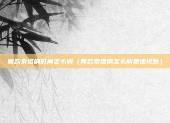 新款桑塔纳时间怎么调（新款桑塔纳怎么调怠速视频）