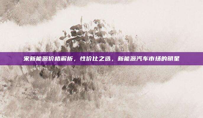 宋新能源价格解析,性价比之选,新能源汽车市场的明星