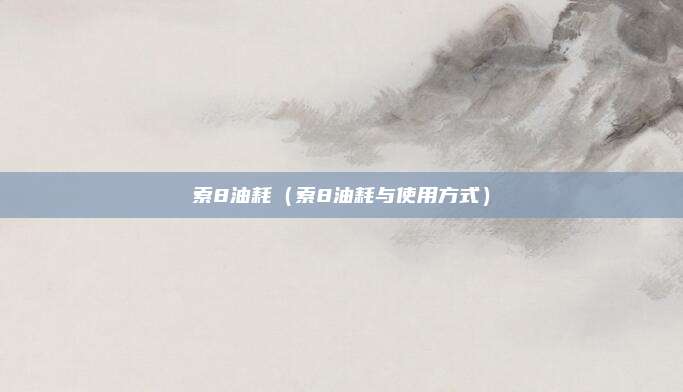 索8油耗（索8油耗与使用方式）