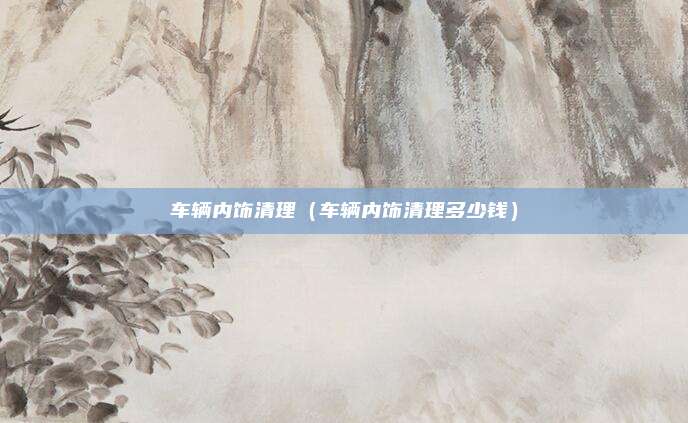 车辆内饰清理（车辆内饰清理多少钱）